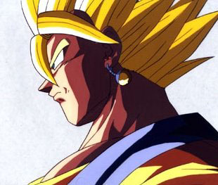 Otaku Gallery  / Anime e Manga / Dragon Ball / Personaggi / Gogeta / 034.jpg